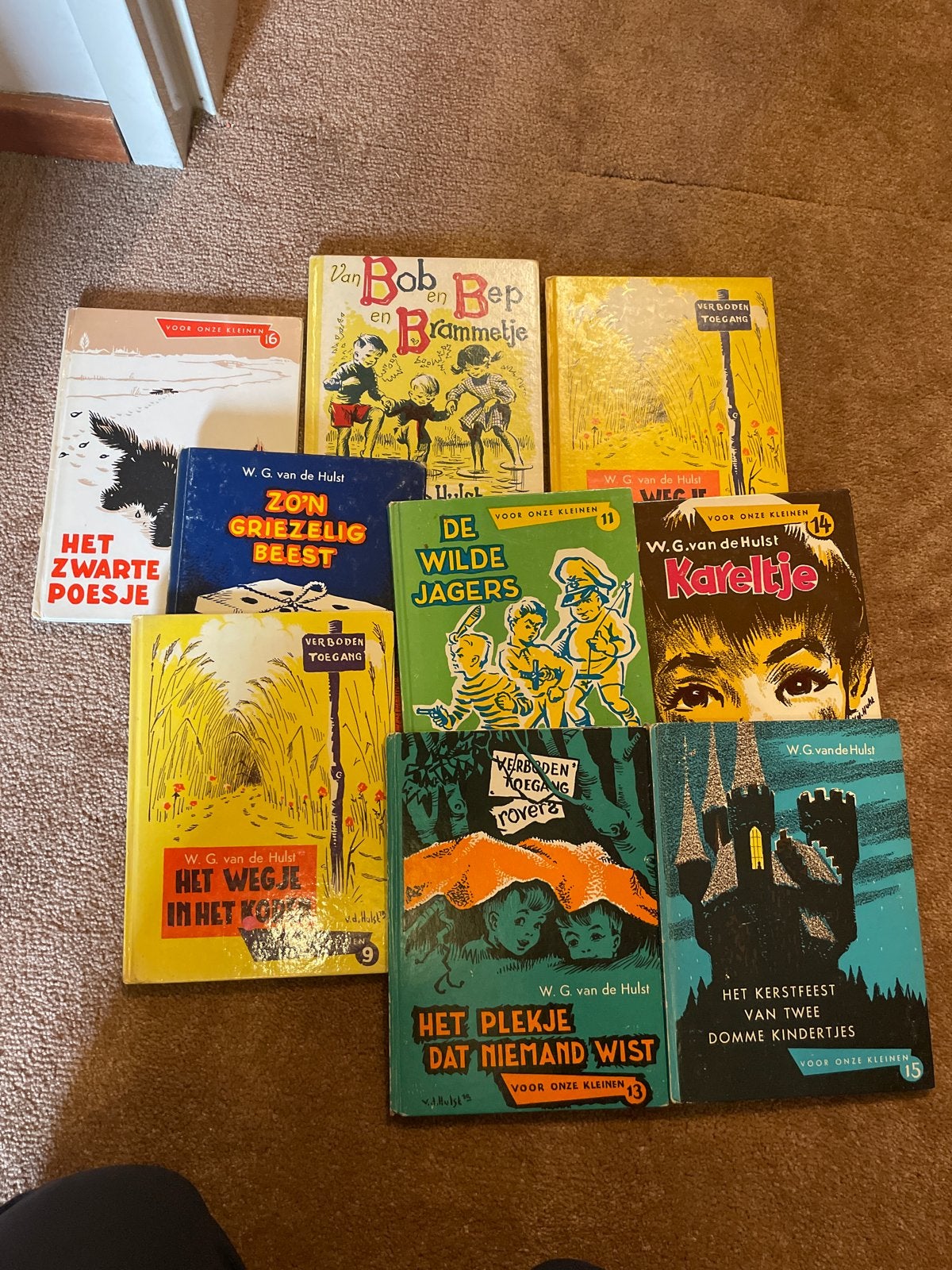W.G. van de Hulst boeken - Diverse titels, Ophalen of Verzenden, Gelezen, Fictie algemeen