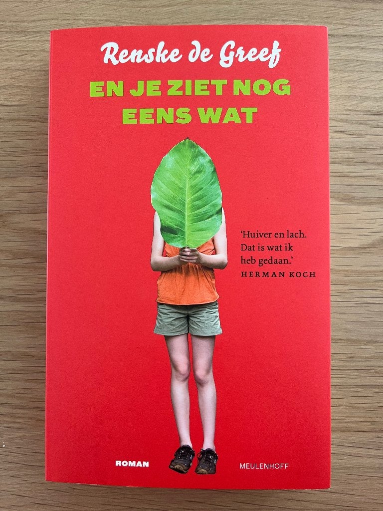 Boek En je ziet nog eens wat van Renske de Greef, Ophalen of Verzenden, Zo goed als nieuw, Nederland, Renske de Greef