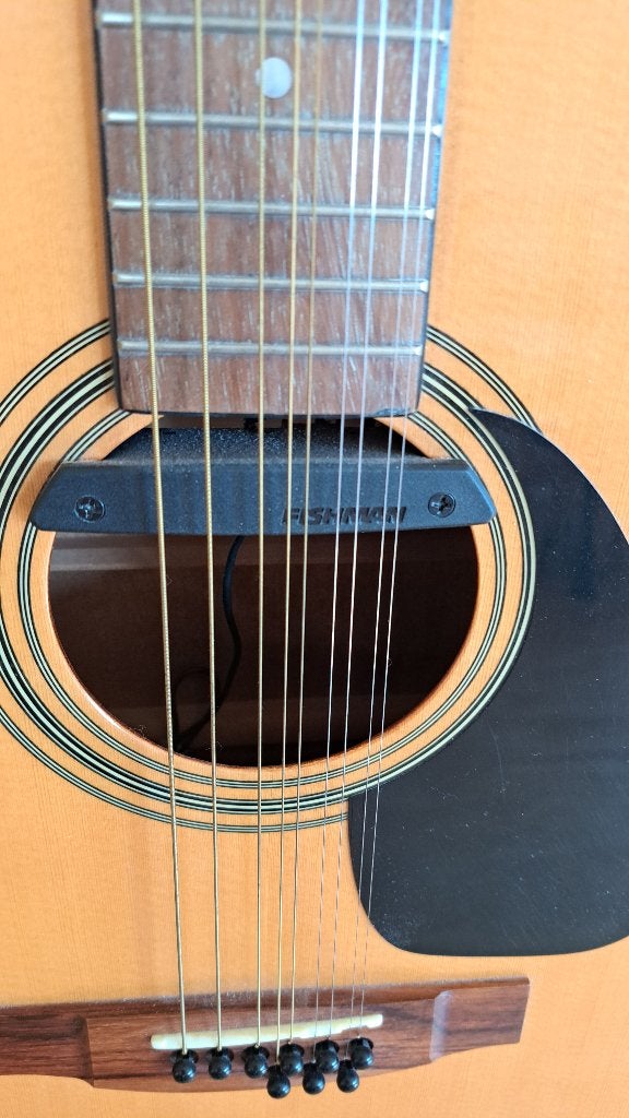 Samick 9 snarig gitaar, Ophalen of Verzenden, Gebruikt, Western- of Steelstringgitaar