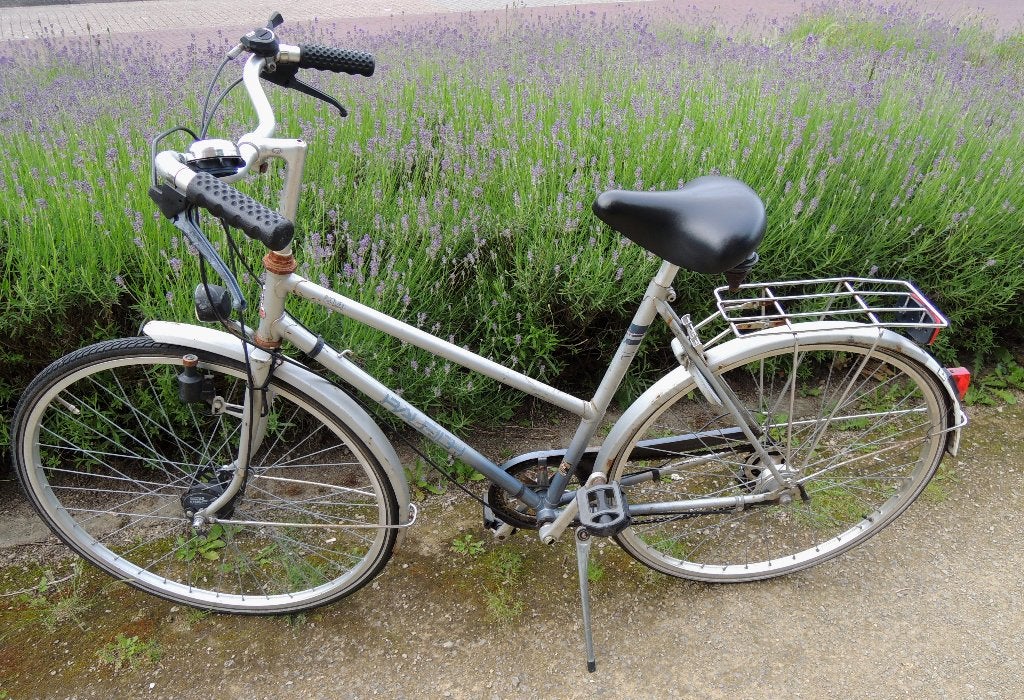 Raleigh Damesfiets met handremmen & versnellingen, Gebruikt, Versnellingen, 50 tot 53 cm, Ophalen