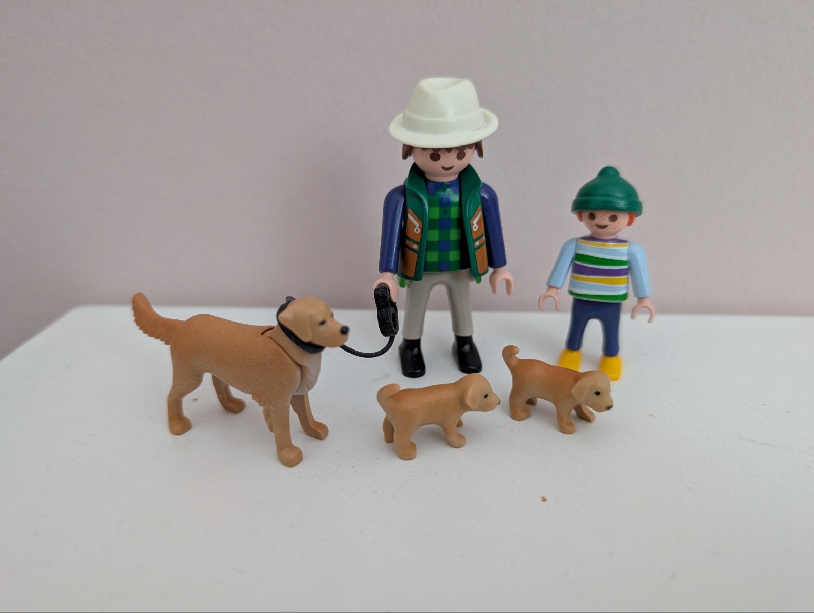 Playmobil Golden Retriever, hond met pups, Ophalen of Verzenden, Zo goed als nieuw, Complete set, Overige typen