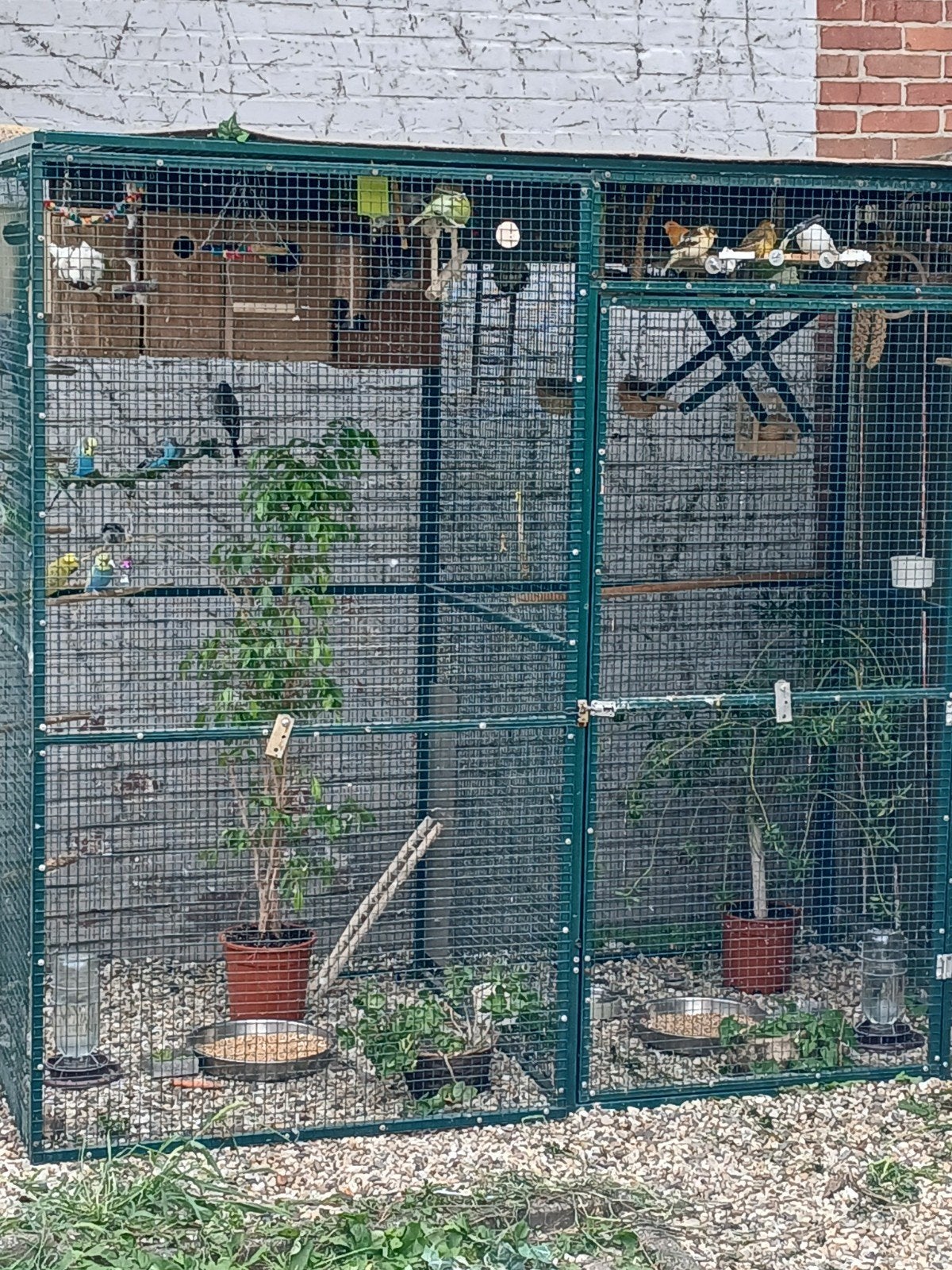 Volière te koop – los of compleet met vogels – 2 delen / 7 p, Ophalen of Verzenden, Aluminium, Volière