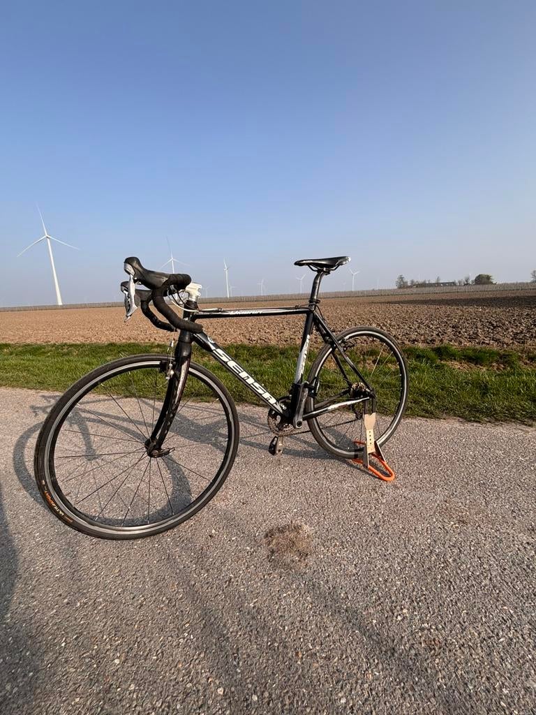 Sensa Umbria racefiets, Gebruikt, 15 tot 20 versnellingen, 53 tot 57 cm, Ophalen