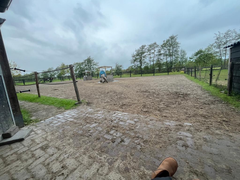 Zie omschrijving, Weidegang