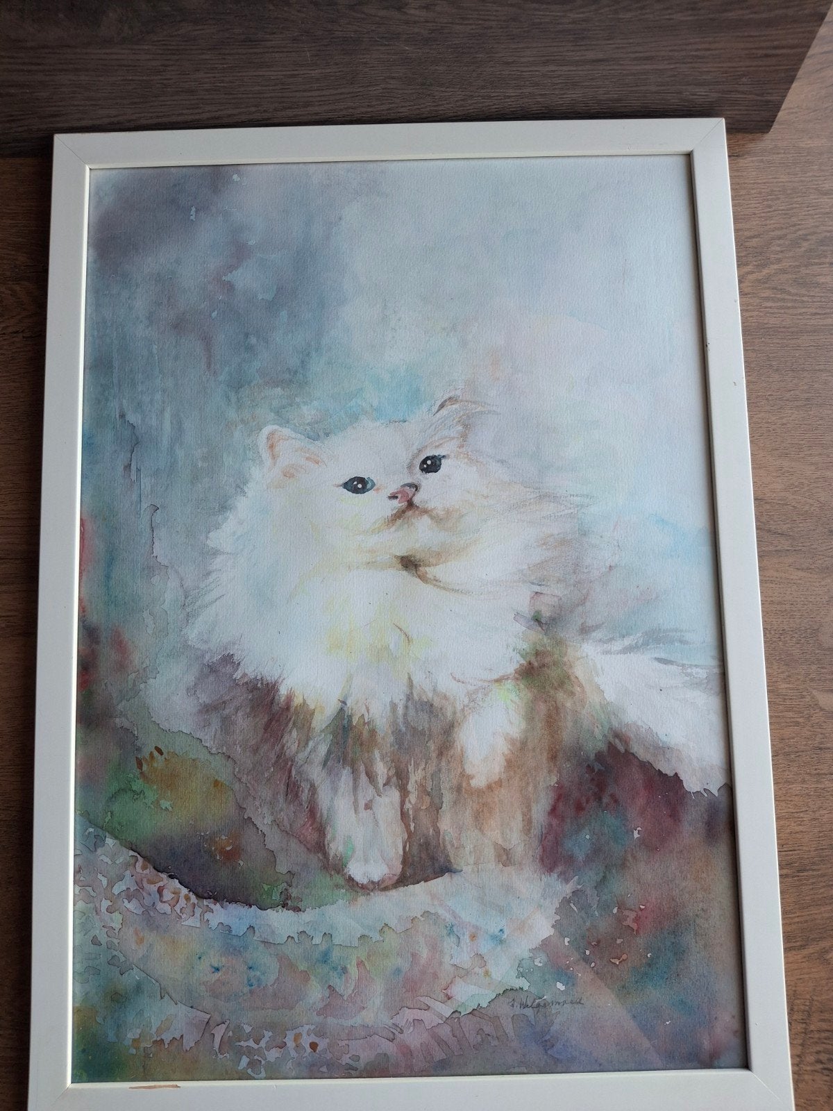 Prachtige Originele Aquarel Witte Kat (Odd-Eye) – S. Welgemo, Ophalen of Verzenden, Ingelijst, Aquarel, Dieren