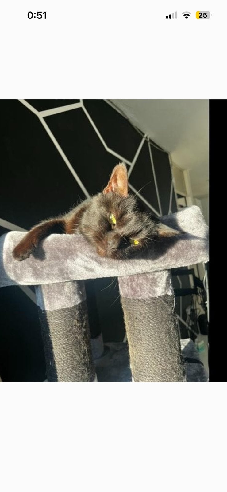 Mila zoekt nieuw huisje