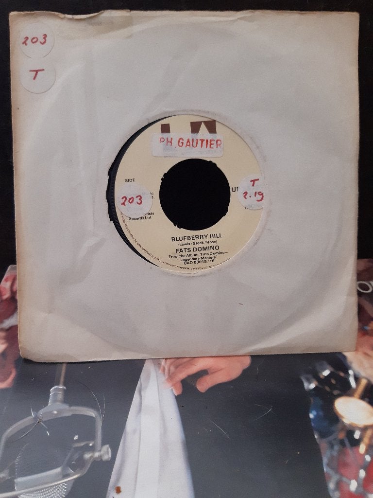 fats domino - blueberry hill  j, Gebruikt, 7 inch, Ophalen of Verzenden, Pop
