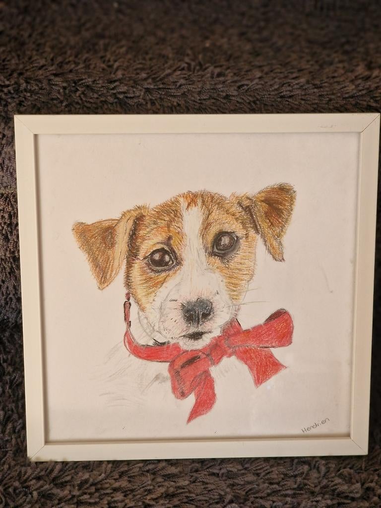"Jack Russel", Ophalen of Verzenden