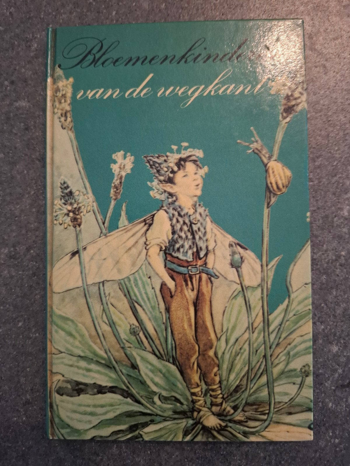 Bloemenkind van de wegkant - Sprookjesboek, Ophalen of Verzenden