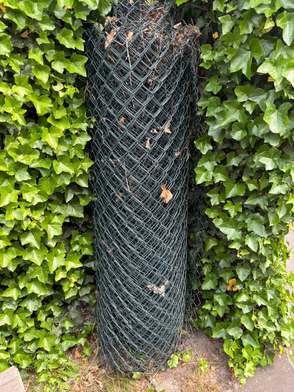Harmanica gaas, Tuin en Terras, Gaas en Draad, Ophalen, Gebruikt, 20 meter of meer, Gaas