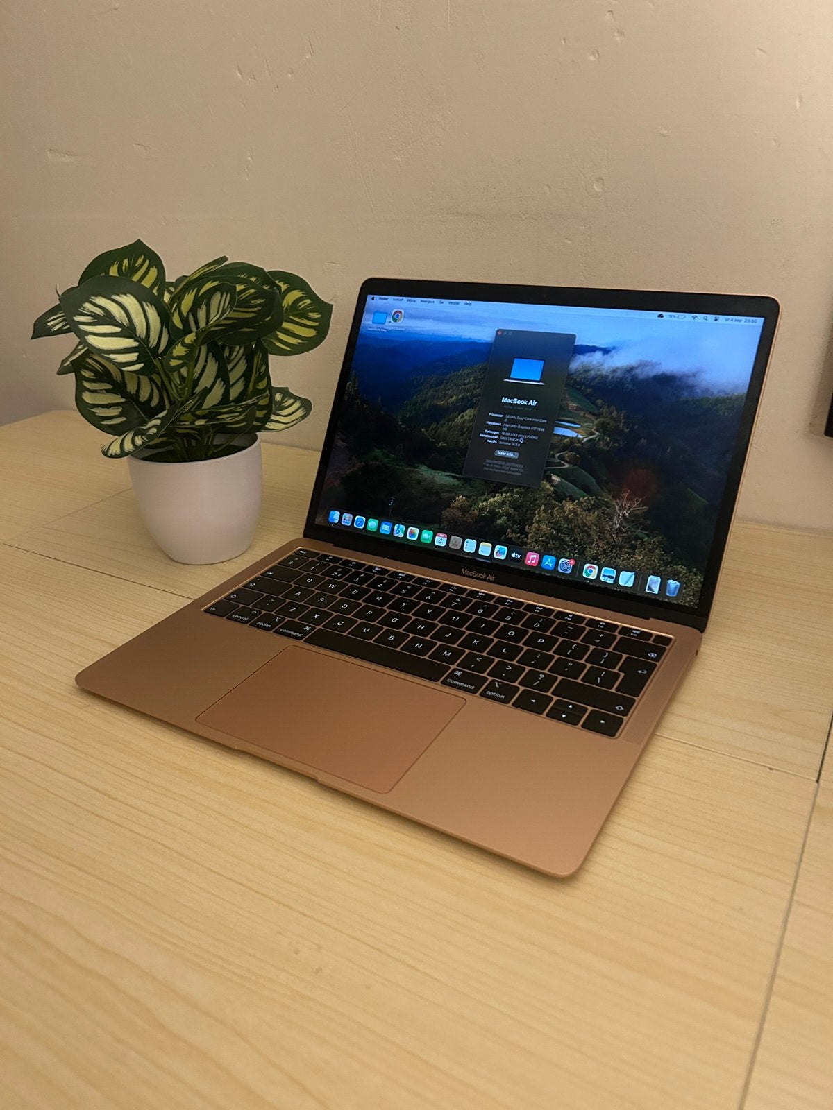 MacBook Air 2018 | 16GB RAM | 1,5TB opslag