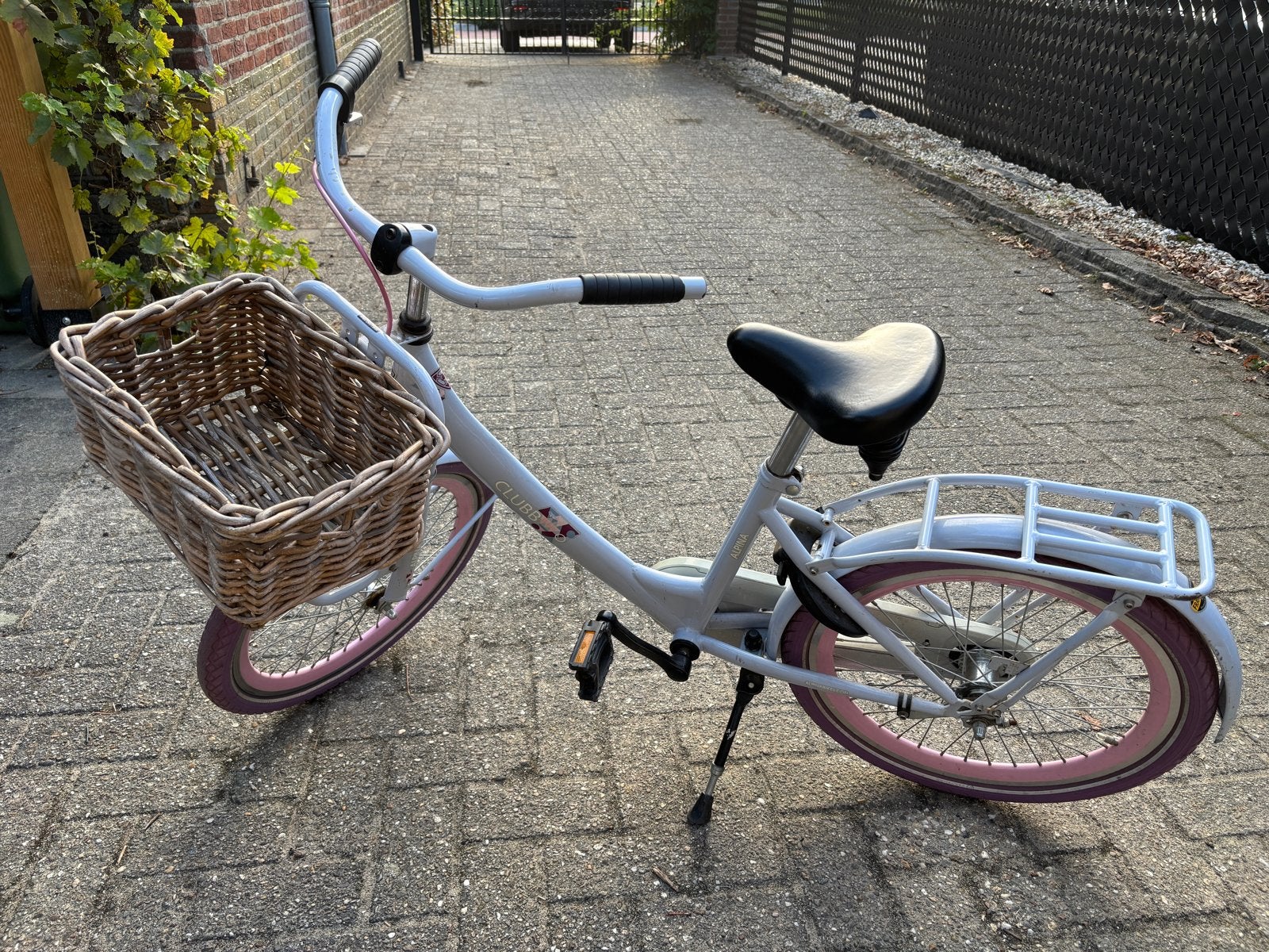Alpina Meisjesfiets 20 inch met mandje en terugtraprem, Ophalen, Terugtraprem, Gebruikt, Handrem