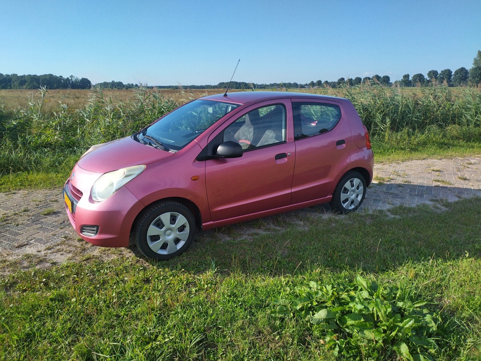 Suzuki Alto 1.0 2010 Roze, Voorwielaandrijving, 200 kg, Overige kleuren, 4 stoelen