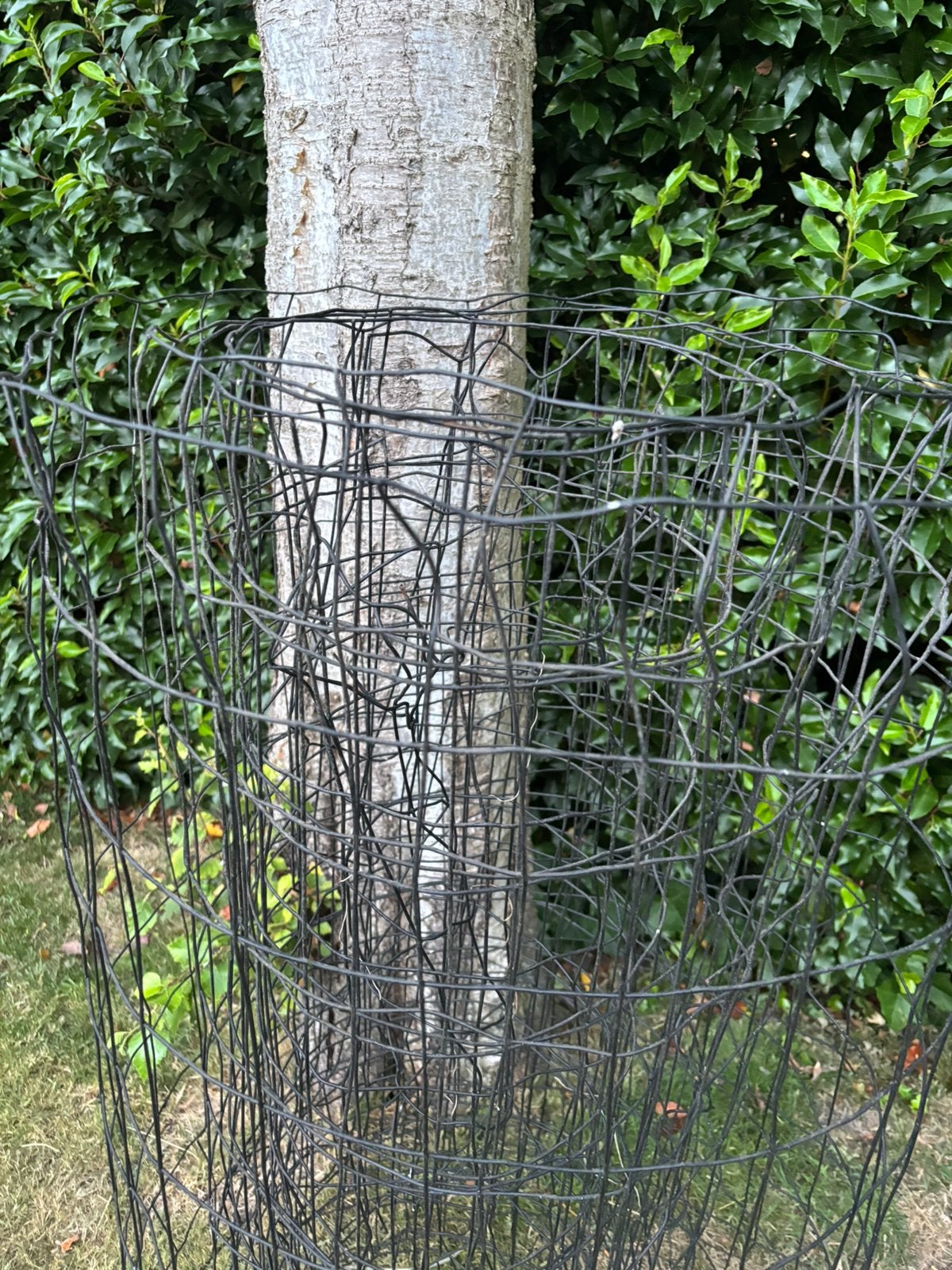 Gaas ijzer hekwerk 1meter hoog, Tuin en Terras, Ophalen of Verzenden, Zo goed als nieuw, Minder dan 10 meter