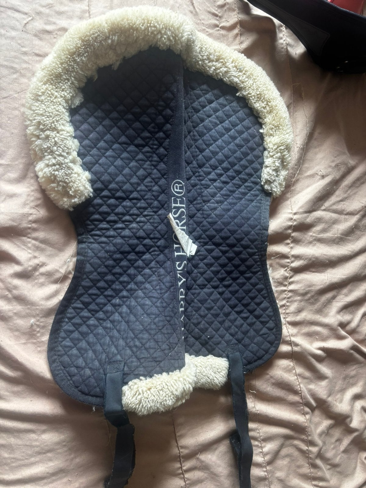 Zadelbontje maat cob, Ophalen of Verzenden, Gebruikt