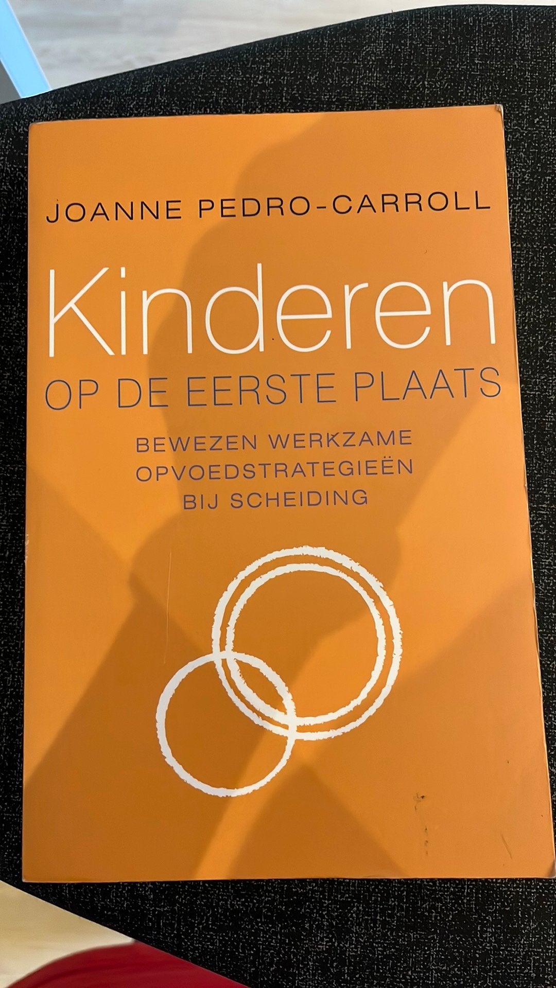 JoAnne Pedro-Carroll - Kinderen op de eerste plaats, Ophalen of Verzenden, JoAnne Pedro-Carroll, Ontwikkelingspsychologie, Zo goed als nieuw