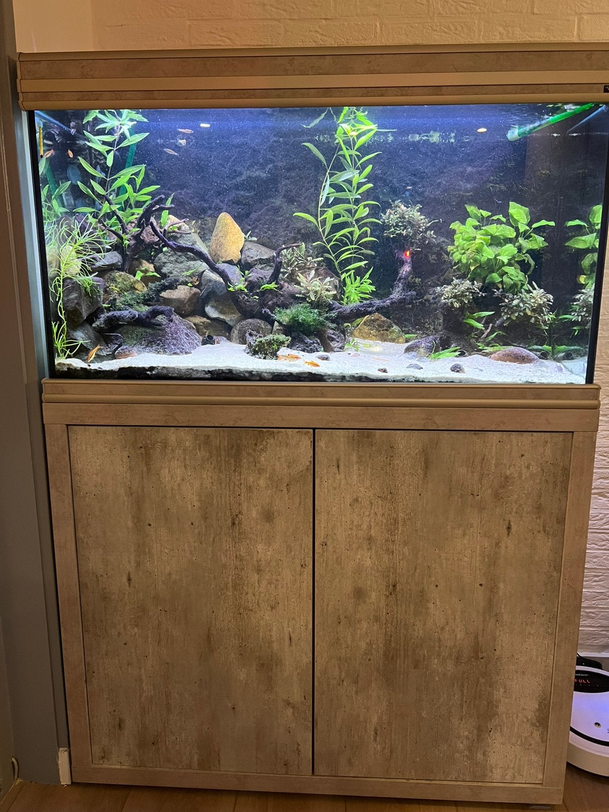 Aqualantis Aquarium Compleet, Dieren en Toebehoren, Vissen | Aquaria en Toebehoren, Ophalen, Gebruikt, Aquatlantis, Gevuld zoetwateraquarium