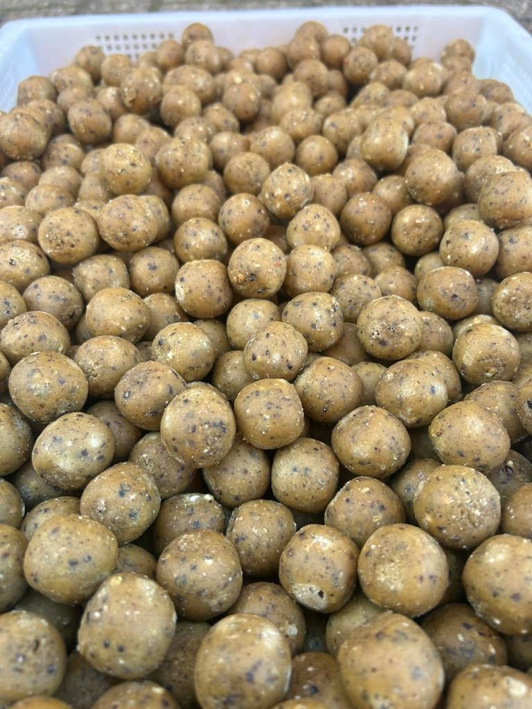 Nutz and hemp boilie, Ophalen of Verzenden, Nieuw, Overige typen