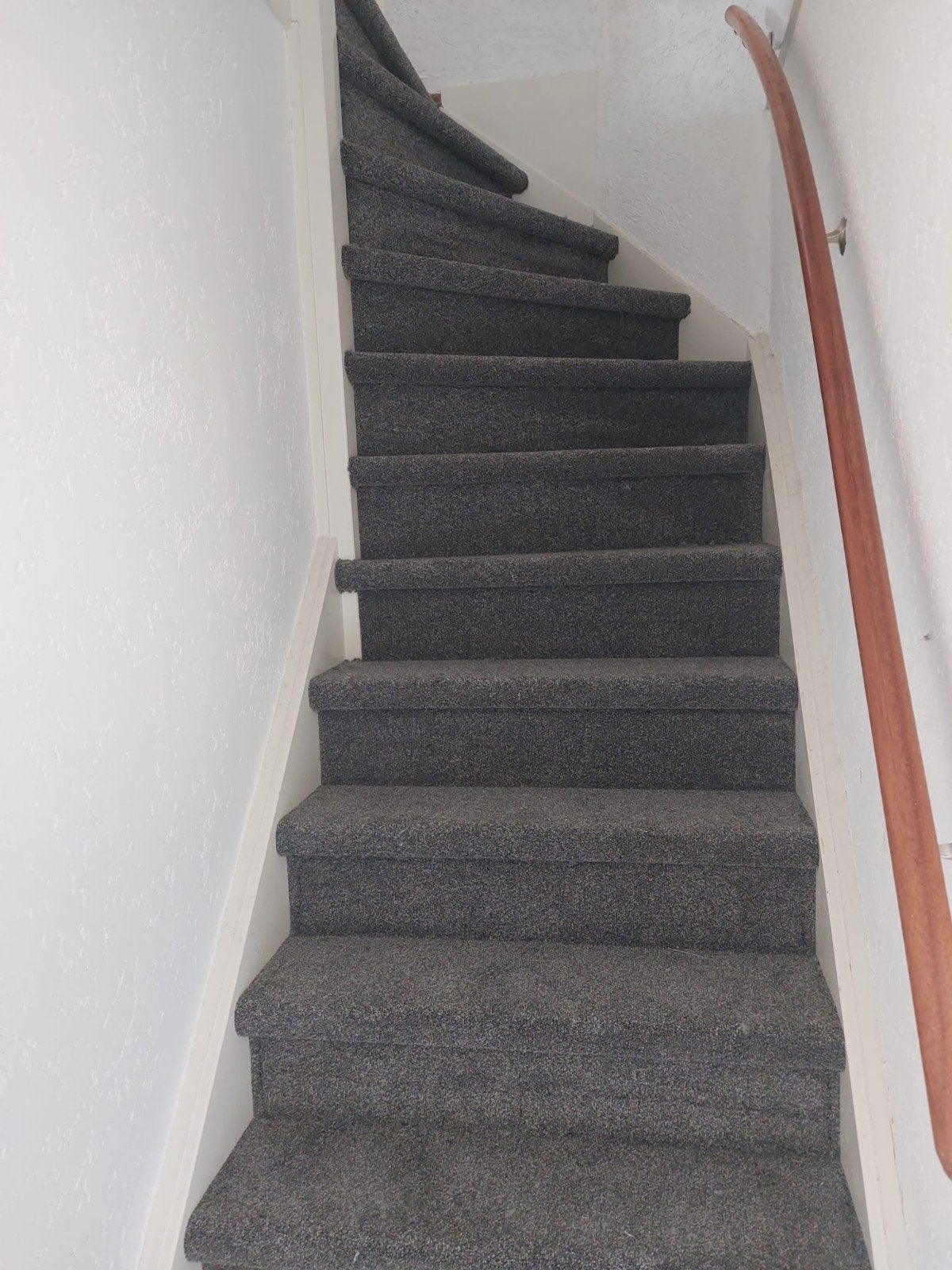 Trapbekleding en vloerbedekking snel en vakkundig gelegd/, Ophalen of Verzenden, Nieuw, 75 m² of meer, Tapijt