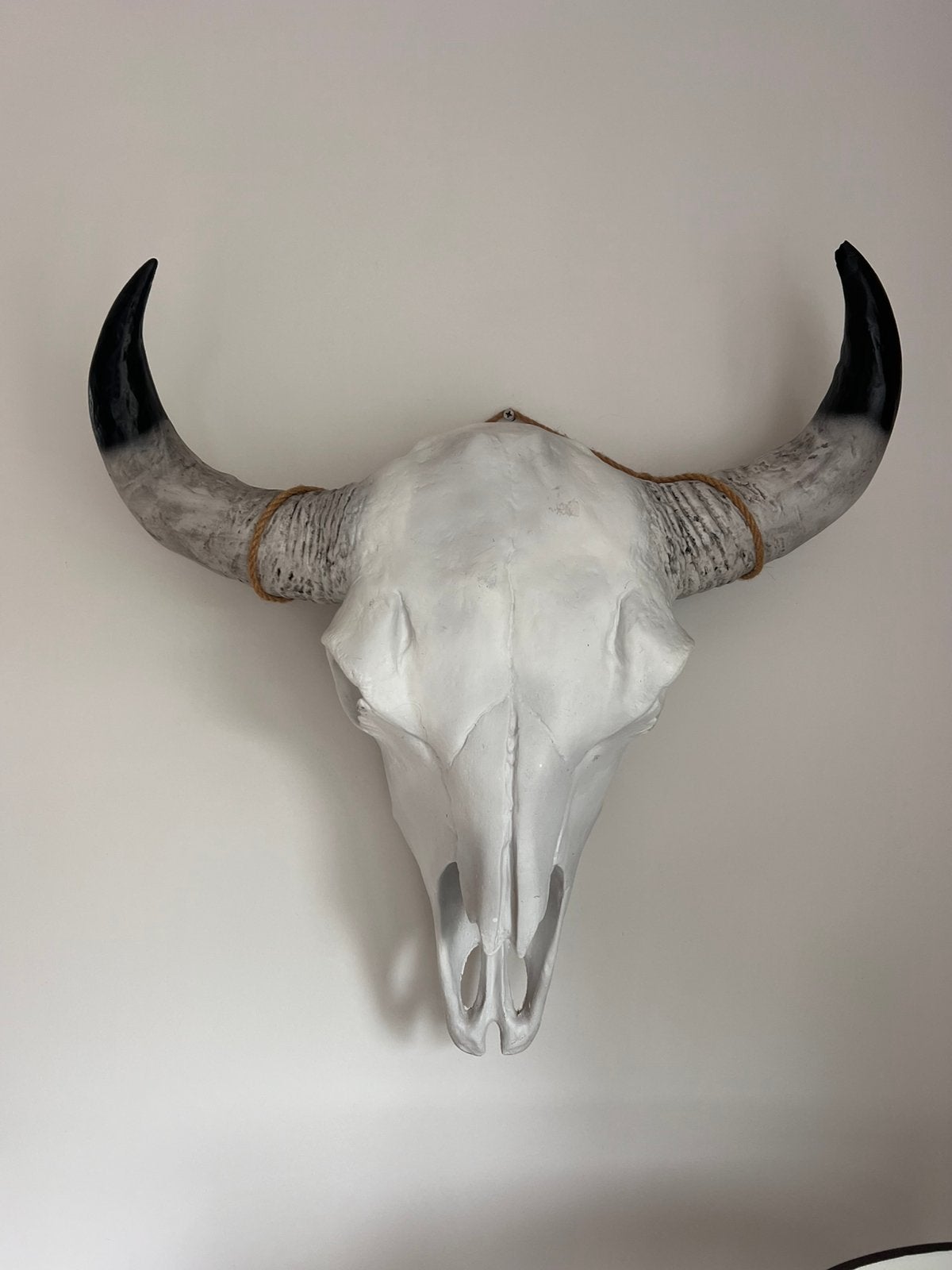 Stierenschedel, bull skull, wanddecoratie, Ophalen of Verzenden, Zo goed als nieuw, Schedel