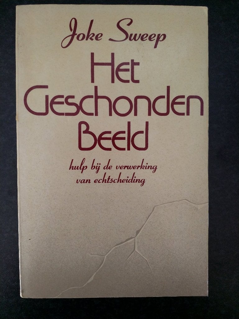 Joke Sweep - Het geschonden beeld, Boeken, Advies, Hulp en Training, Zo goed als nieuw, Ophalen of Verzenden