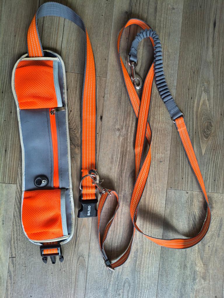 Honden jog riem en heupgordel, Ophalen of Verzenden, Nieuw