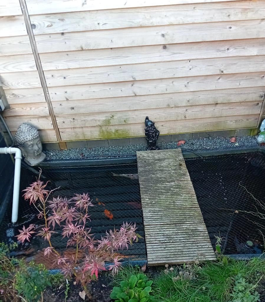 Complete vijver + koi vissen en toebehoren, Tuin en Terras, Vijvers, Ophalen, Gebruikt