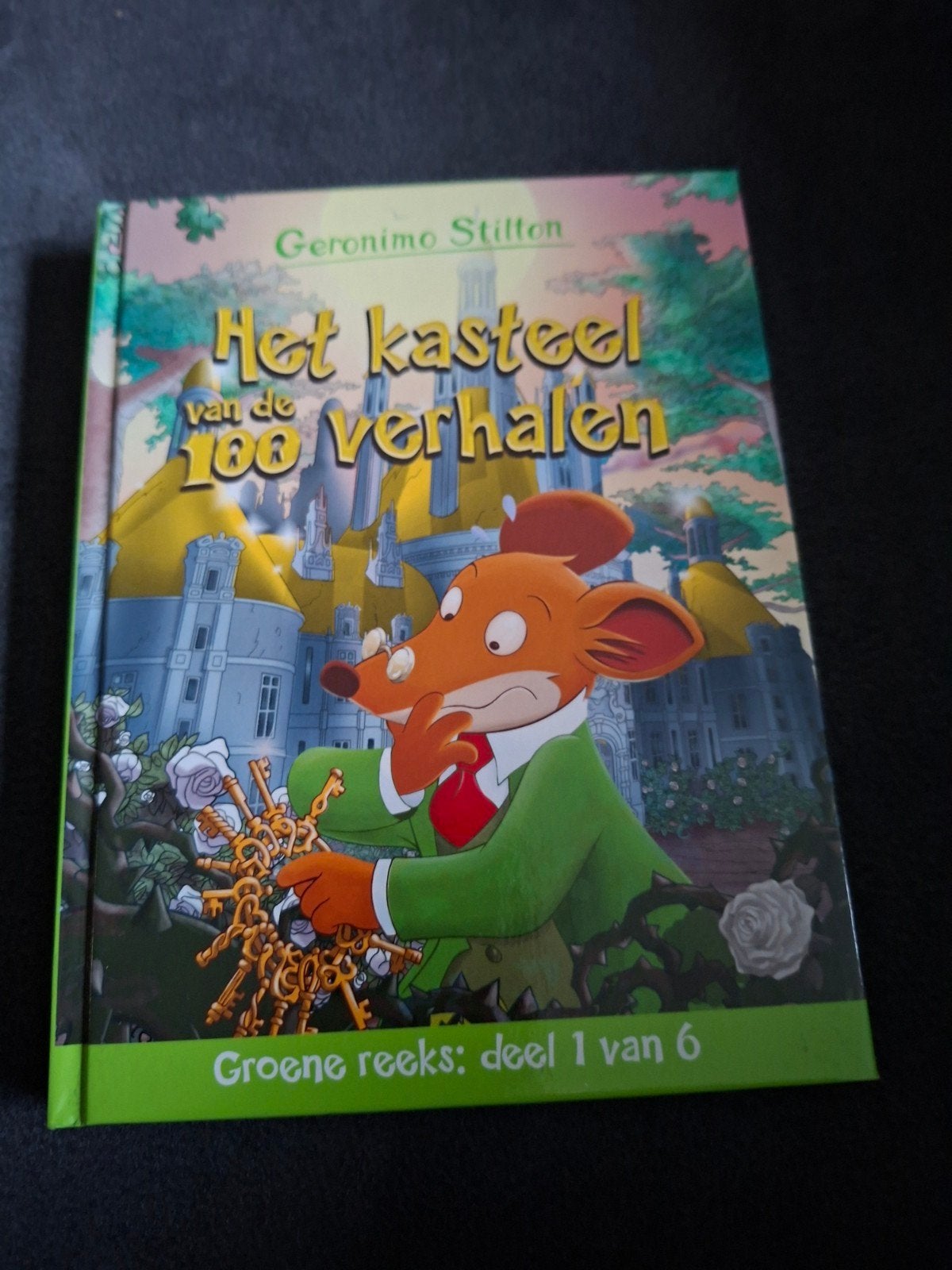 Geronimo Stilton - Het kasteel van de 100 verhalen, Ophalen of Verzenden, Zo goed als nieuw, Geronimo Stilton, Fictie algemeen