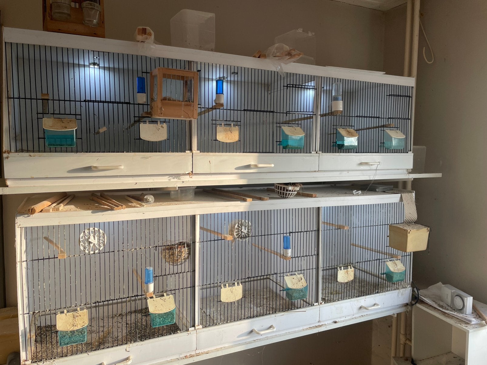 Kweek/broedkooien birdsupply accentkleur, Dieren en Toebehoren, Ophalen, Zo goed als nieuw, Kunststof, Broedkooi of Kweekkooi