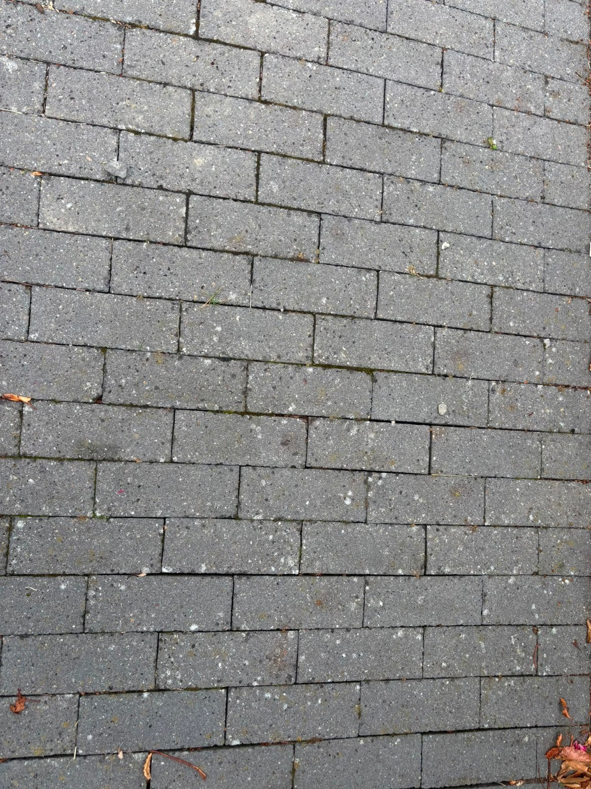 Schellevis klinkers, dikformaat antraciet 21x7x8 nieuw!, Ophalen, Klinkers, Nieuw, Minder dan 5 m²