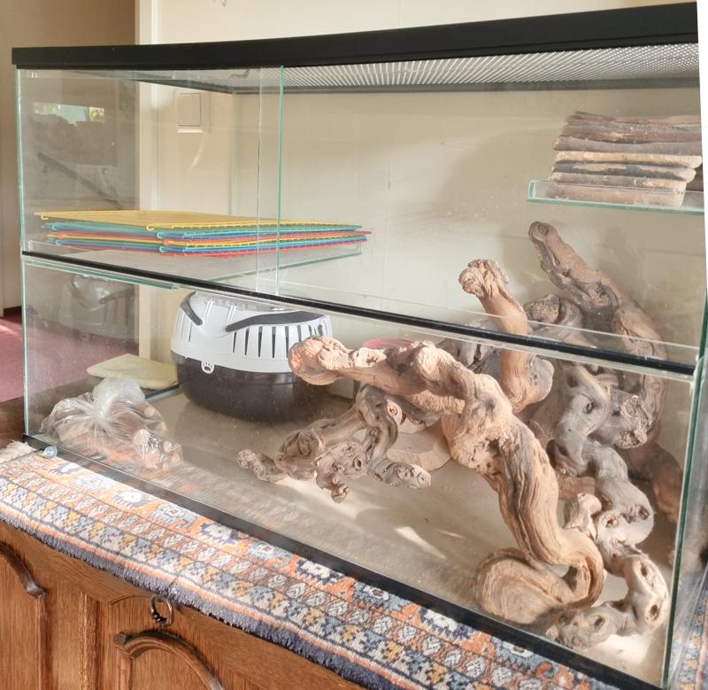 Compleet glazen gerbil-/hamsterhok 80x40x50 met accessoires, Dieren en Toebehoren, Gebruikt, Muis, Hok, 75 tot 110 cm