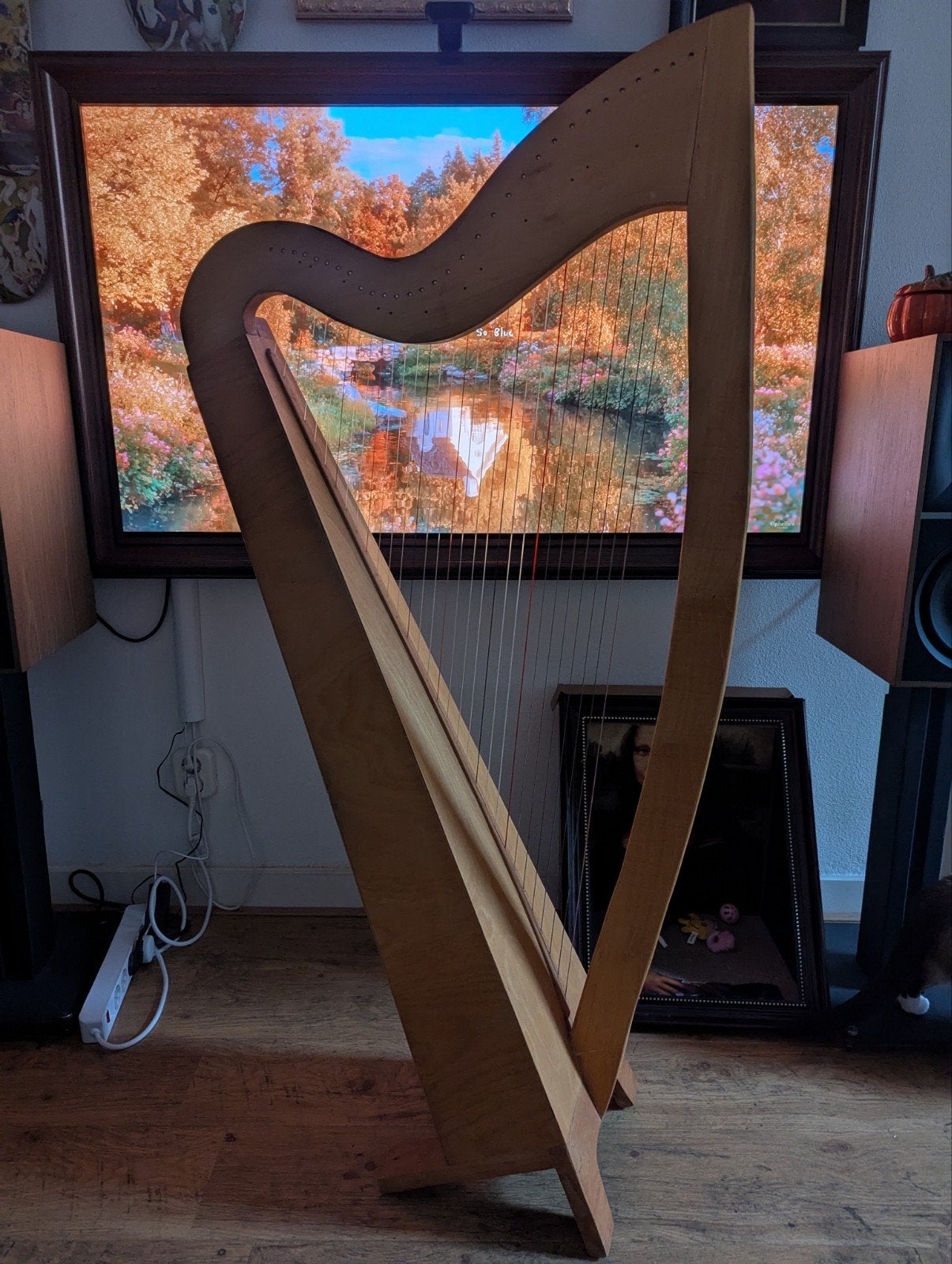 Prachtige houten trainings harp, Muziek en Instrumenten, Ophalen, Zo goed als nieuw