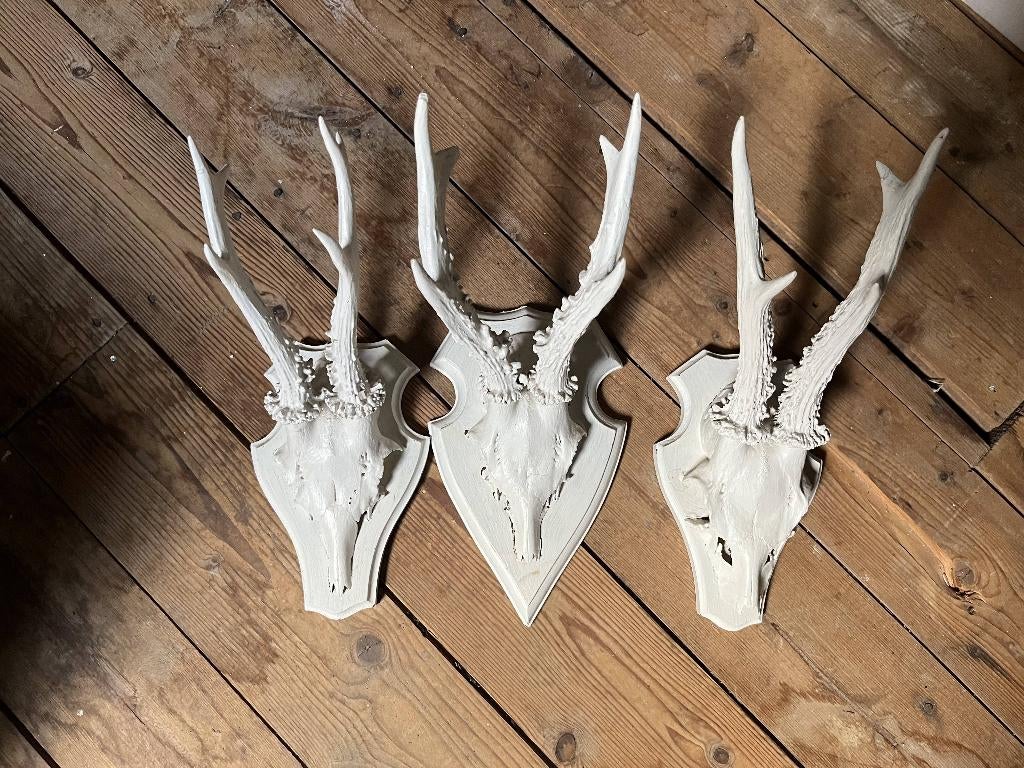 3x schedel hert decoratie, Huis en Inrichting, Landelijk, Ophalen, Gebruikt, Decoratieobject