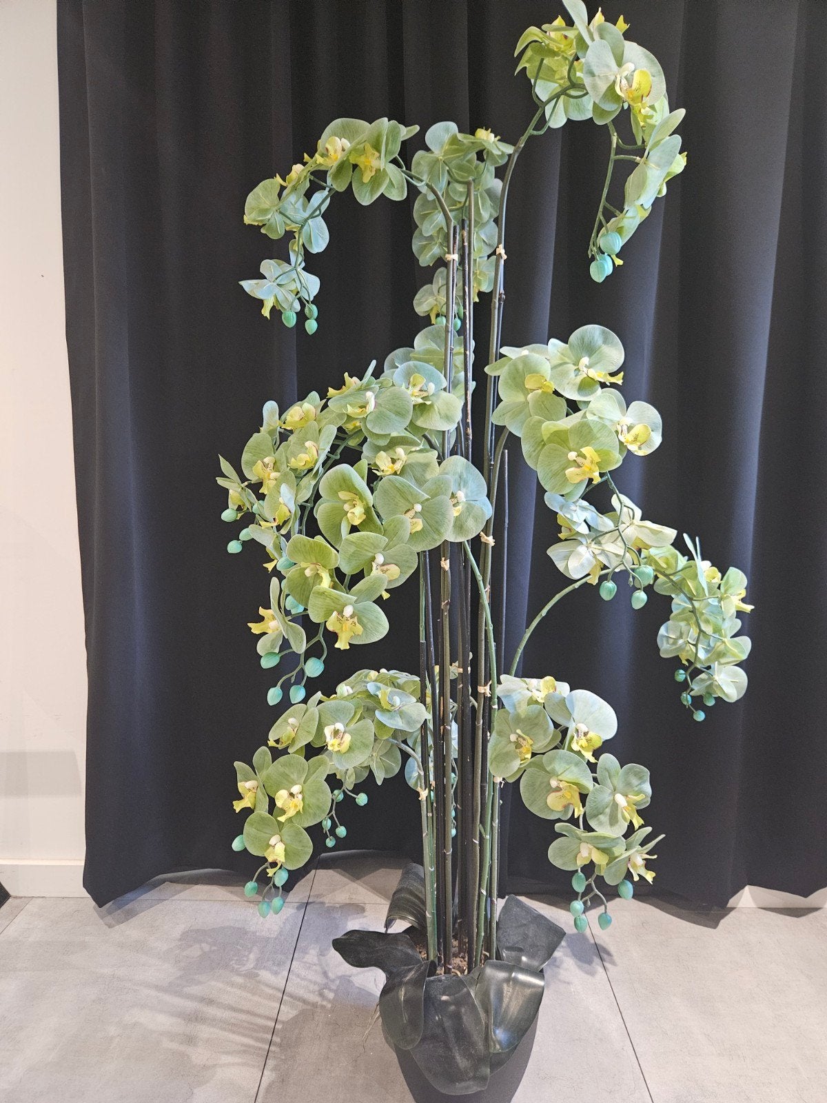 Grote Kunst Orchidee - 145 cm hoog, Ophalen, Binnen, Groen, Onderhoudsvrij