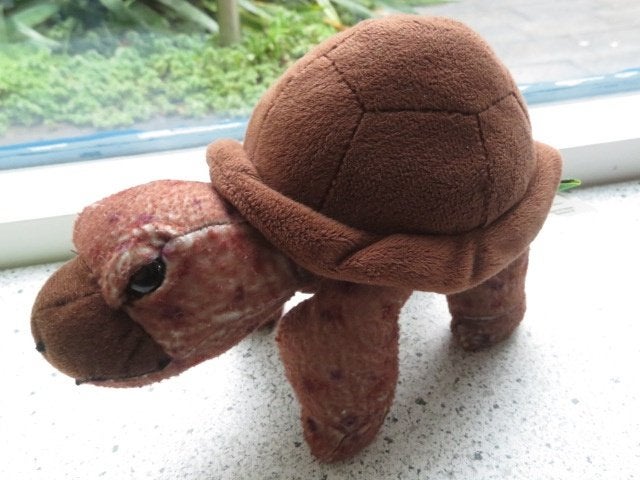 Schildpad merk Wild Republic meet ca 20 cm, Ophalen of Verzenden, Zo goed als nieuw, Bruin, Overige typen