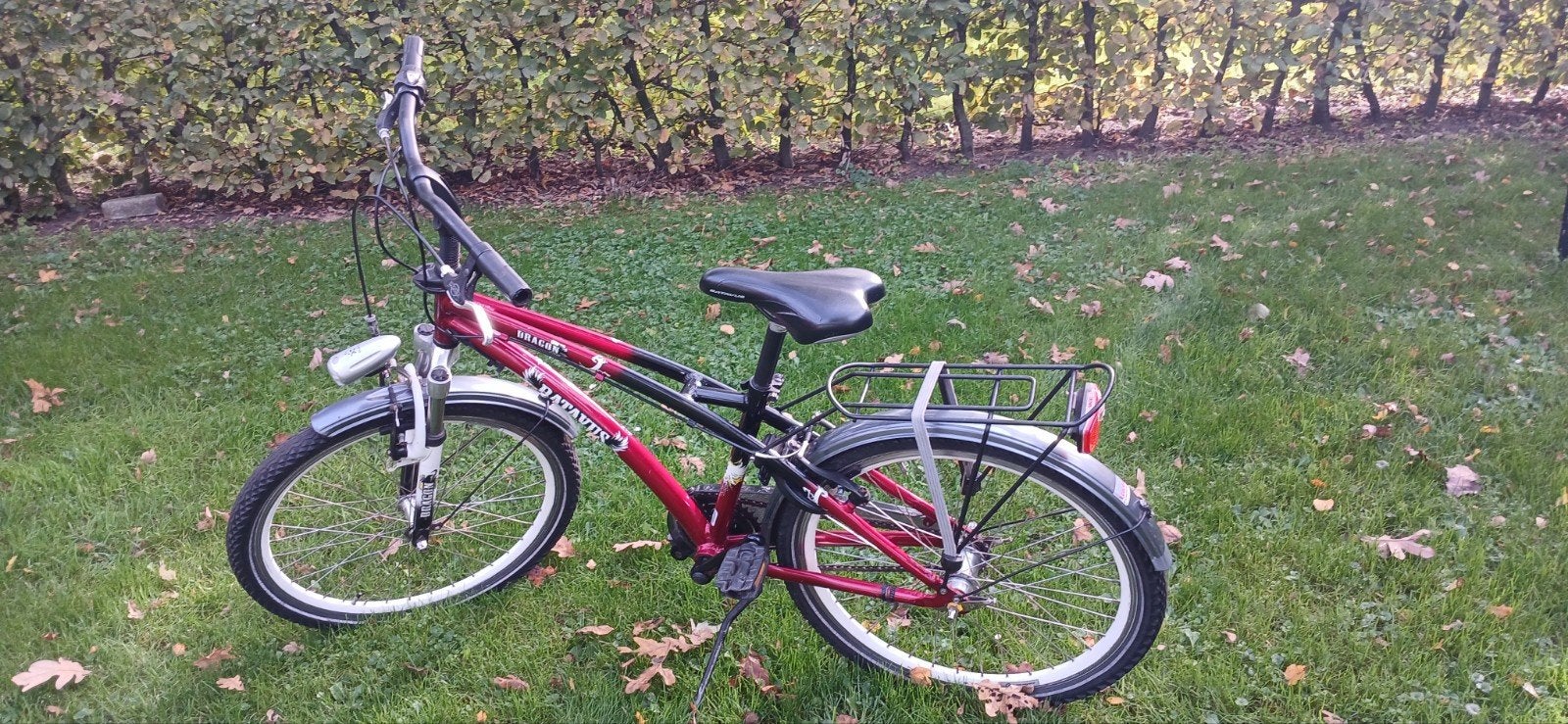 24 inch Batavus Dragon jongensfiets, Fietsen en Brommers, Ophalen, Terugtraprem, Batavus, Handrem