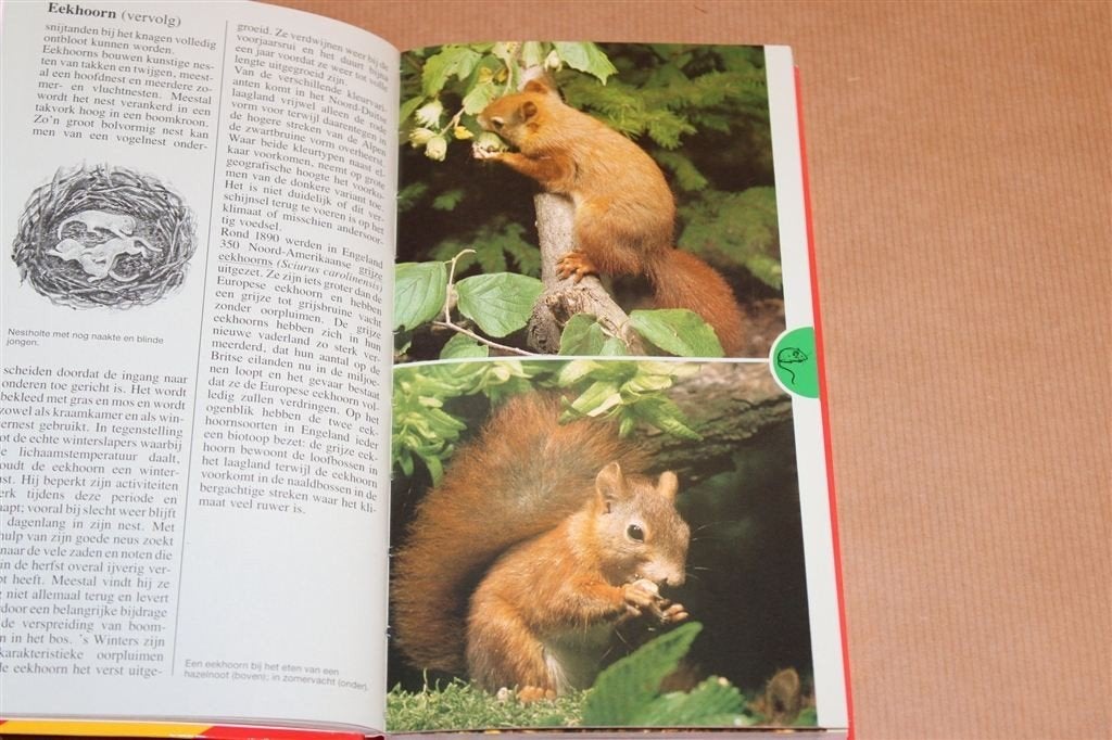 Zoogdieren — Geïllustreerde Veldgids van Europa, Ophalen of Verzenden, Gelezen, Vogels
