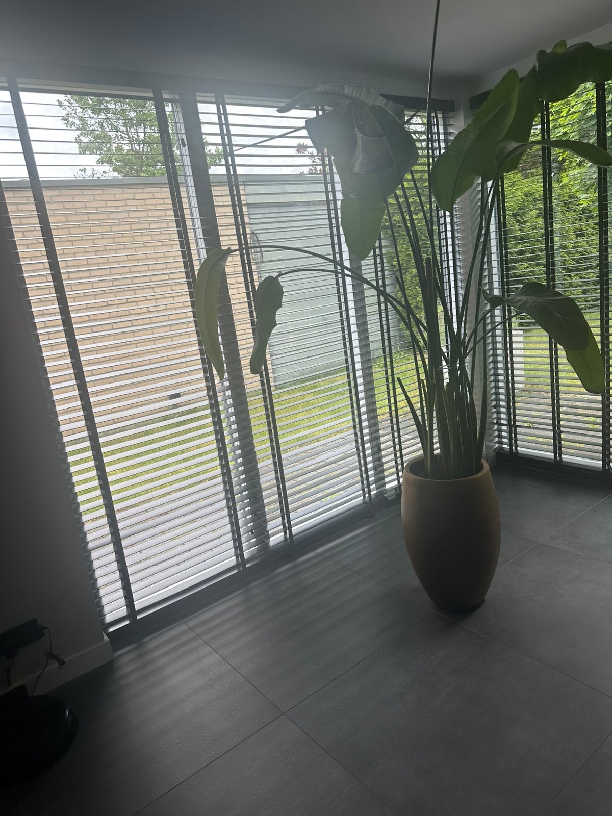 Luxaflex vitrage, Ophalen of Verzenden, Gebruikt, Zwart