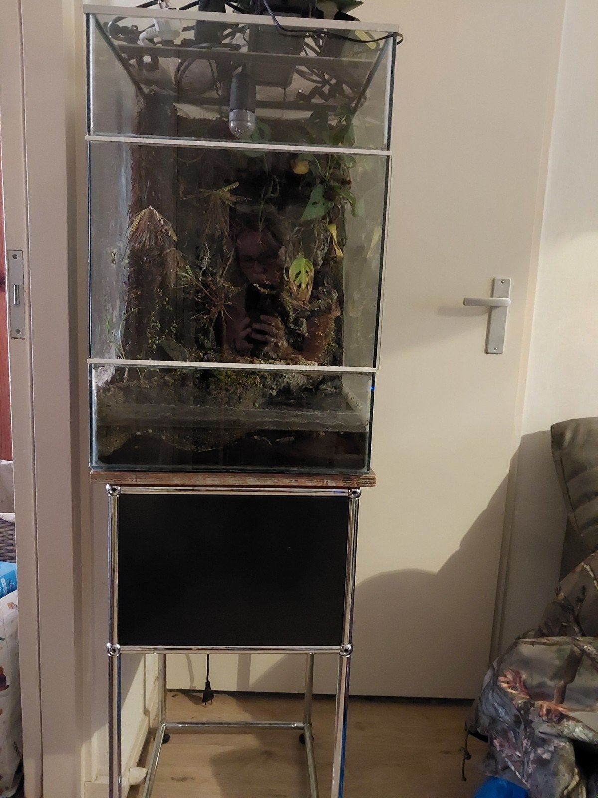 terrarium, Ophalen, Hok, Minder dan 60 cm