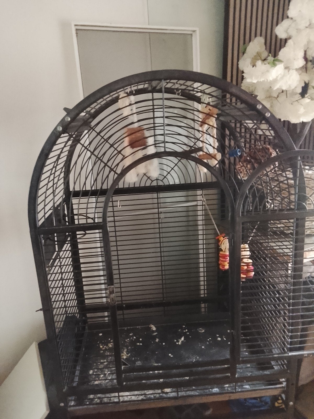 vogelkooi, Ophalen of Verzenden, Zo goed als nieuw, Metaal, Vogelkooi
