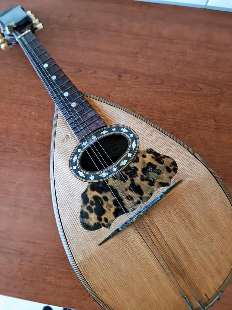 Guiseppe Gagliani 1870 Milano mandoline, Ophalen, Gebruikt, Overige typen