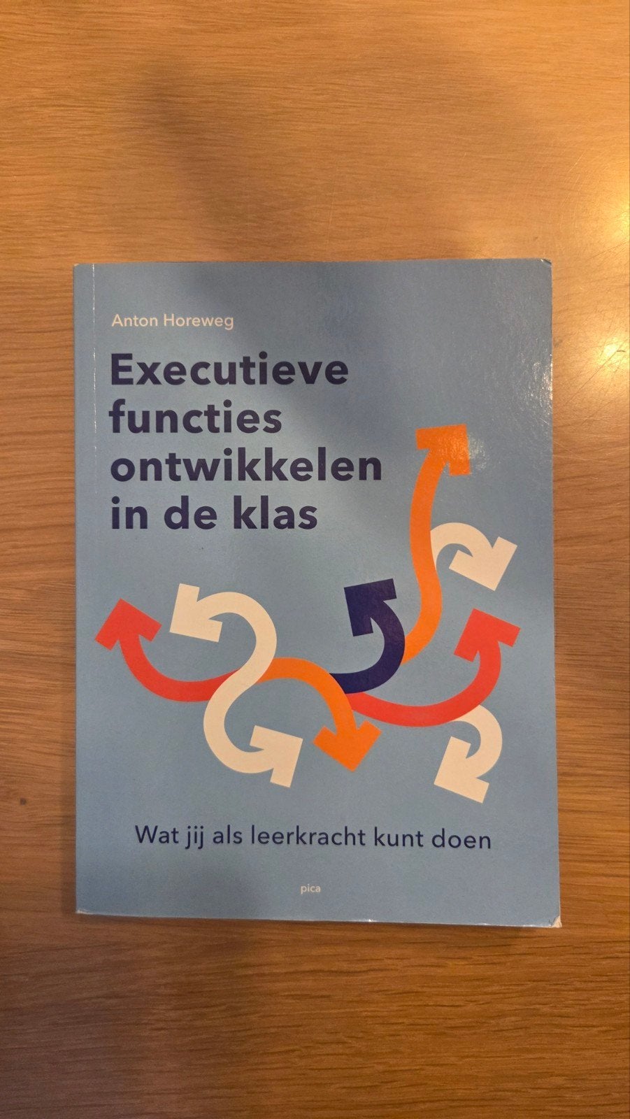 Executieve functies ontwikkelen in de klas - Anton Horeweg, Boeken, Niet van toepassing, Ophalen of Verzenden, Zo goed als nieuw