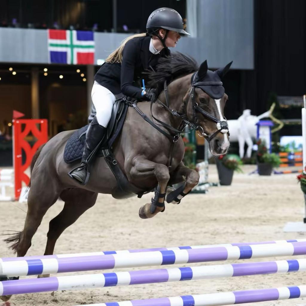 Te Koop: Talentvolle Springpony (1.43 m), Dieren en Toebehoren, Pony's, B, Springpony, 11 jaar of ouder, D pony (1.37m tot 1.48m)