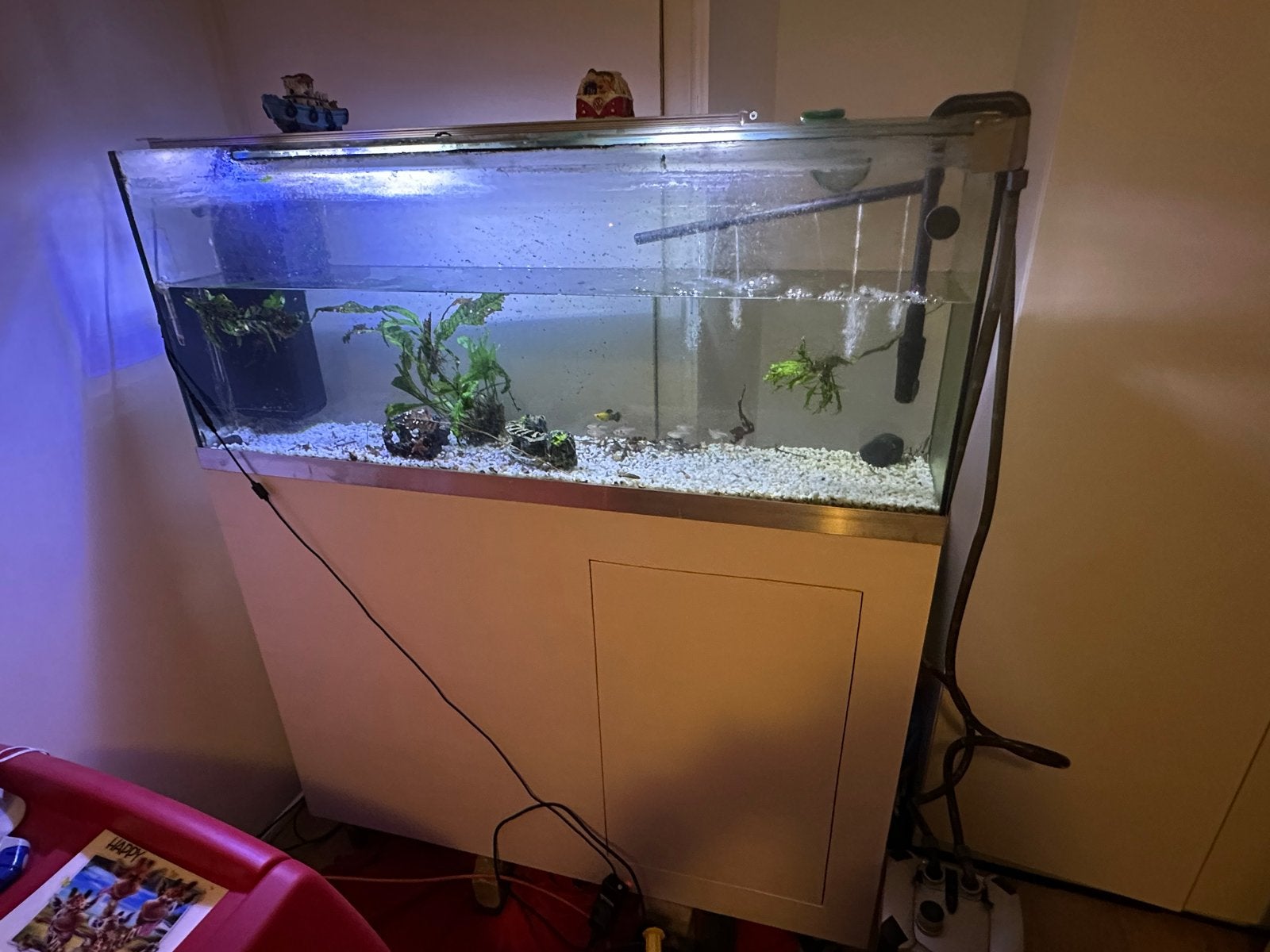Aquarium met kast en lamp, Ophalen
