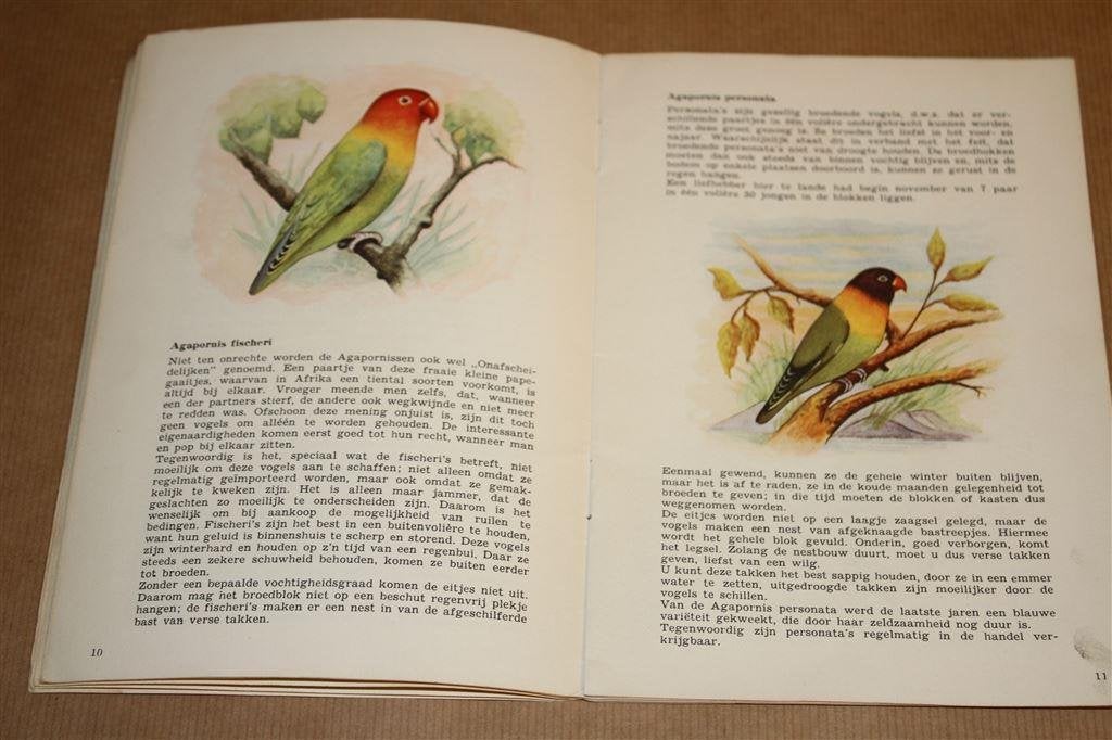 Parkieten. Huisvesting voeding verzorging kweken., Ophalen of Verzenden, Gelezen, Vogels