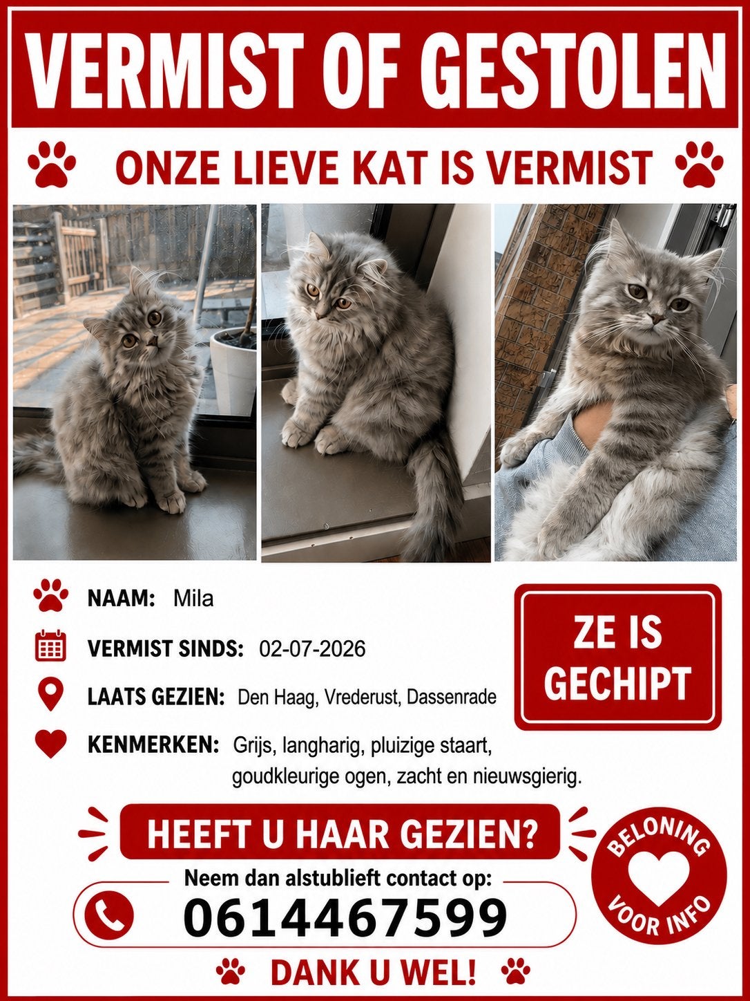 kat vermist of gestolen, Dieren en Toebehoren