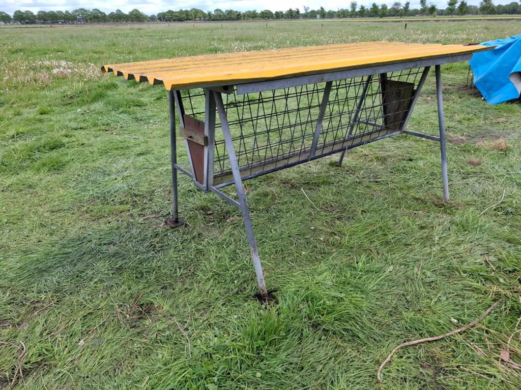 Hooiruif schapen/geiten, Meerdere dieren, Schaap