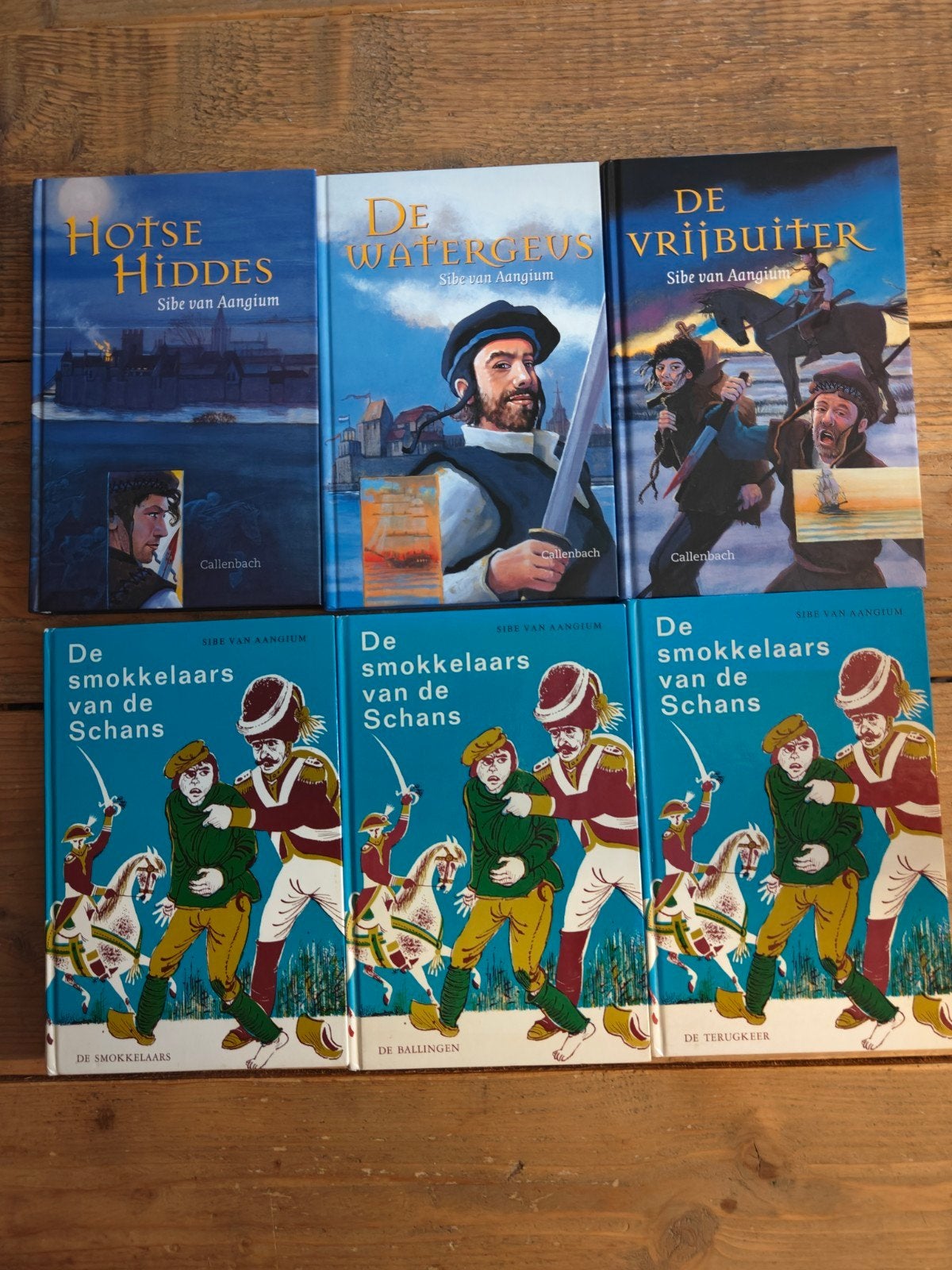 2 Series van Sibe van Aangium., Boeken, Ophalen of Verzenden, Zo goed als nieuw