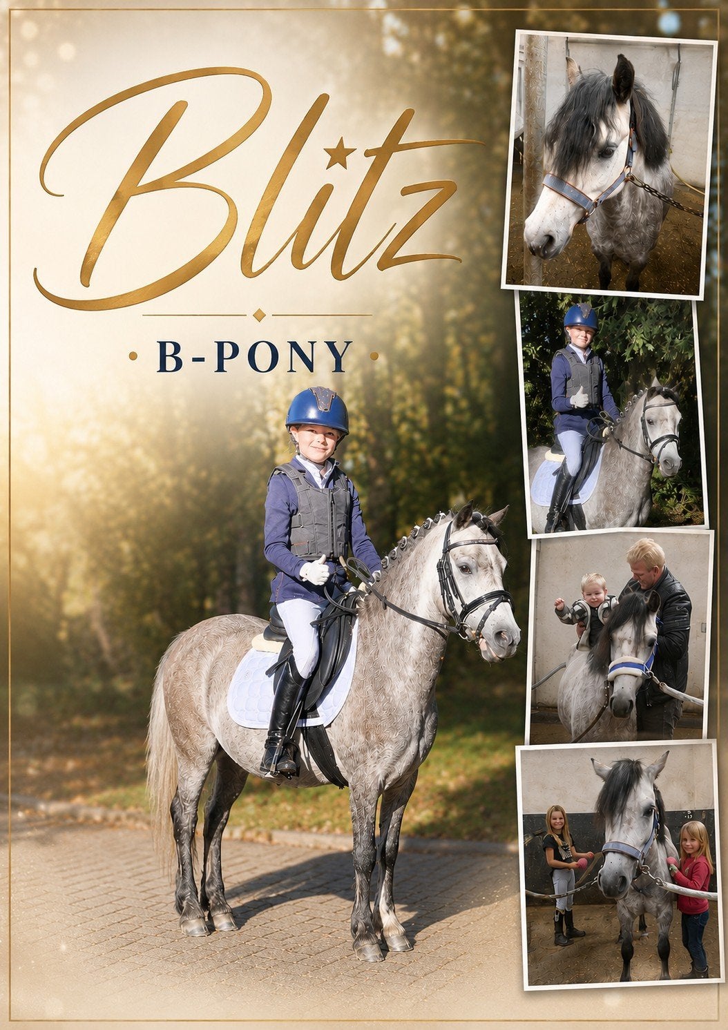B pony welsh, Dieren en Toebehoren, Pony's, Ruin