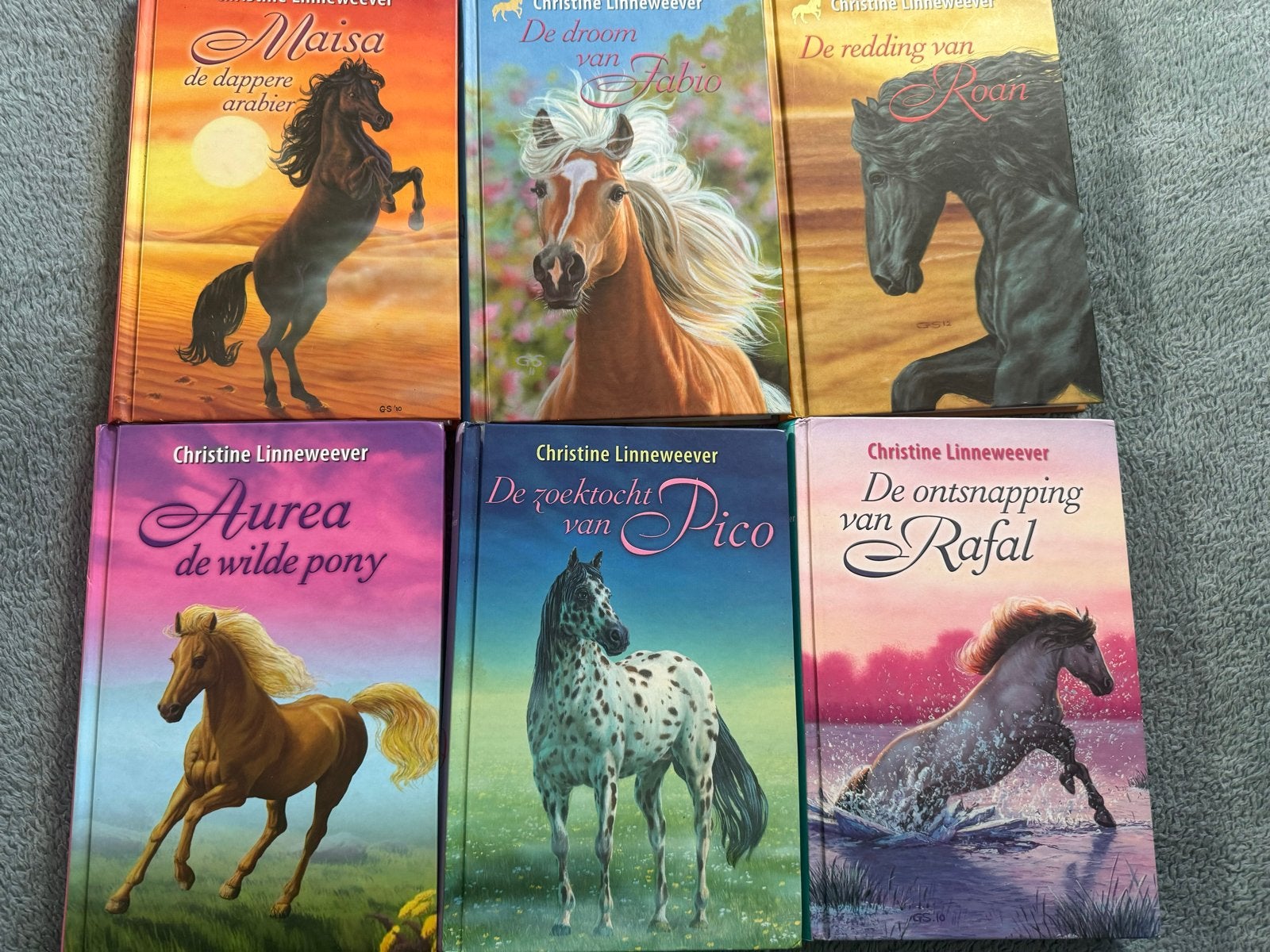 6 boeken van Christine Linneweever - Paardenboeken, Ophalen of Verzenden, Zo goed als nieuw, Fictie algemeen
